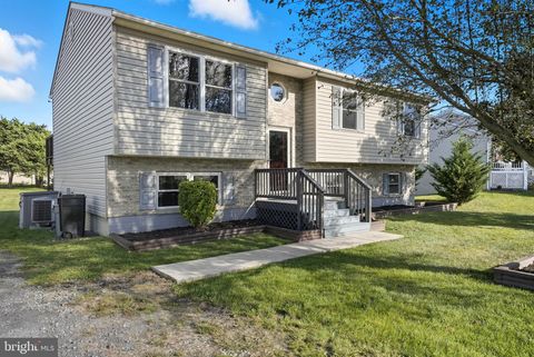 285 WISE AVENUE STRASBURG VA 22657
