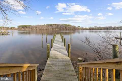 110 DOGWOOD COURT MILLINGTON MD 21651