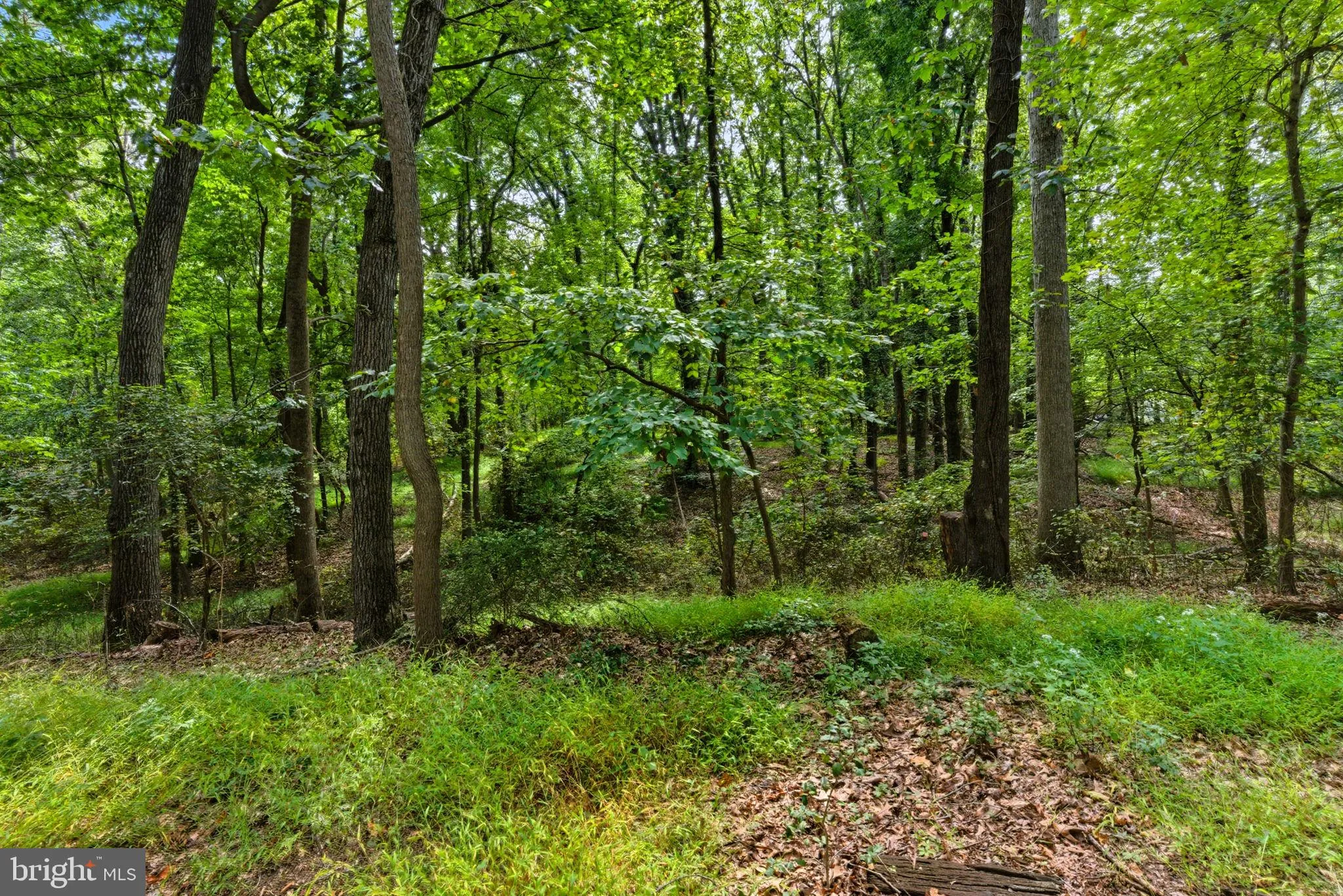 Hainesport, New Jersey 08036, United States, 2 Bedrooms Bedrooms, ,1 BathroomBathrooms,Residential,Active,212037