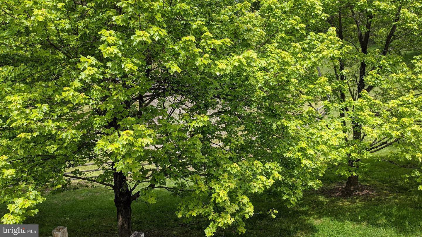 PINEY ORCHARD - Residential Lease