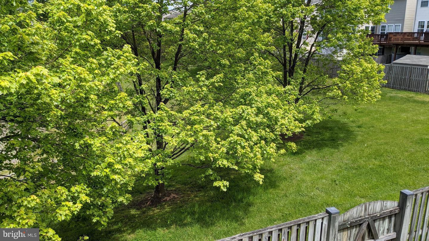 PINEY ORCHARD - Residential Lease