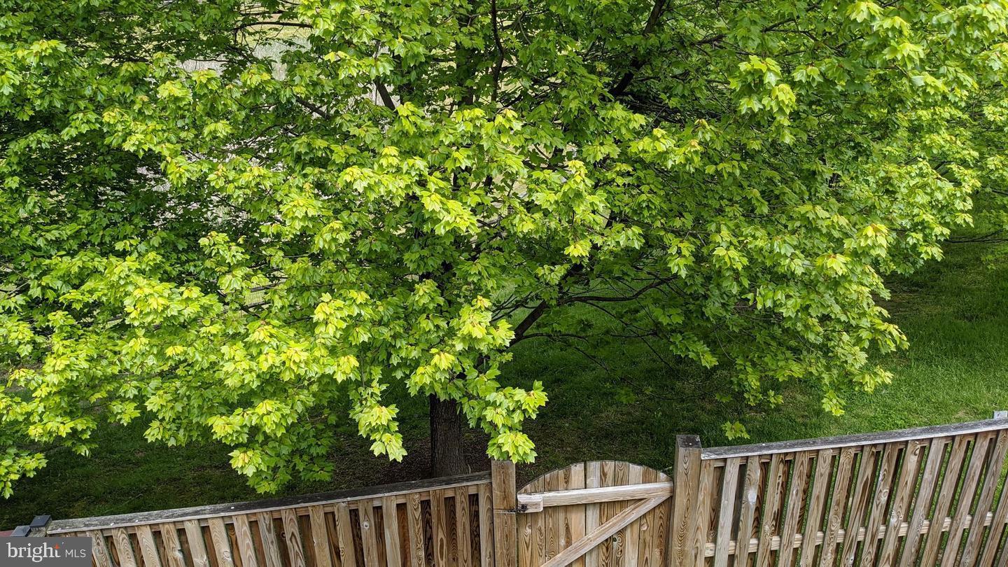 PINEY ORCHARD - Residential Lease