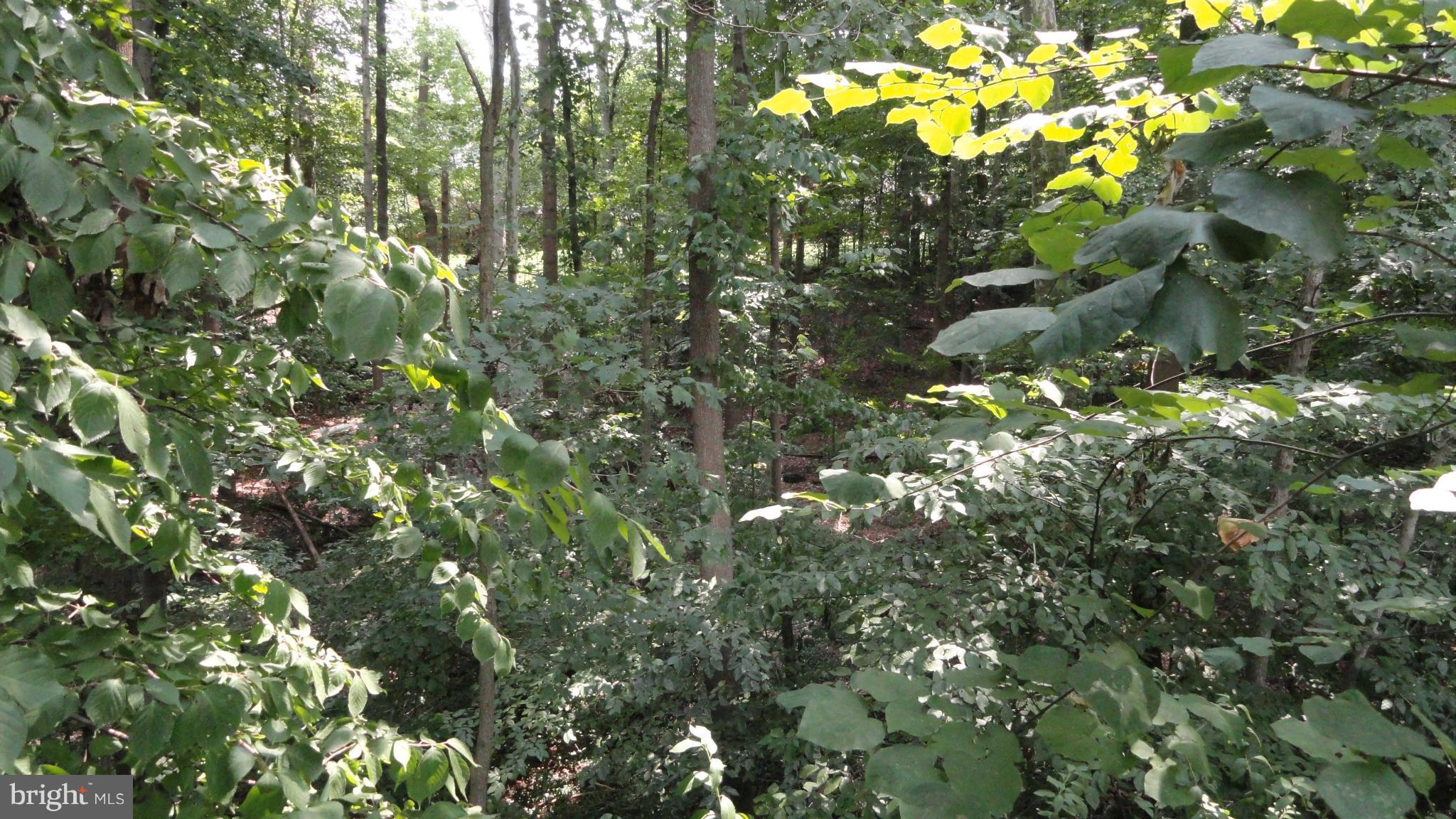 ROLLING VALLEY - Residential