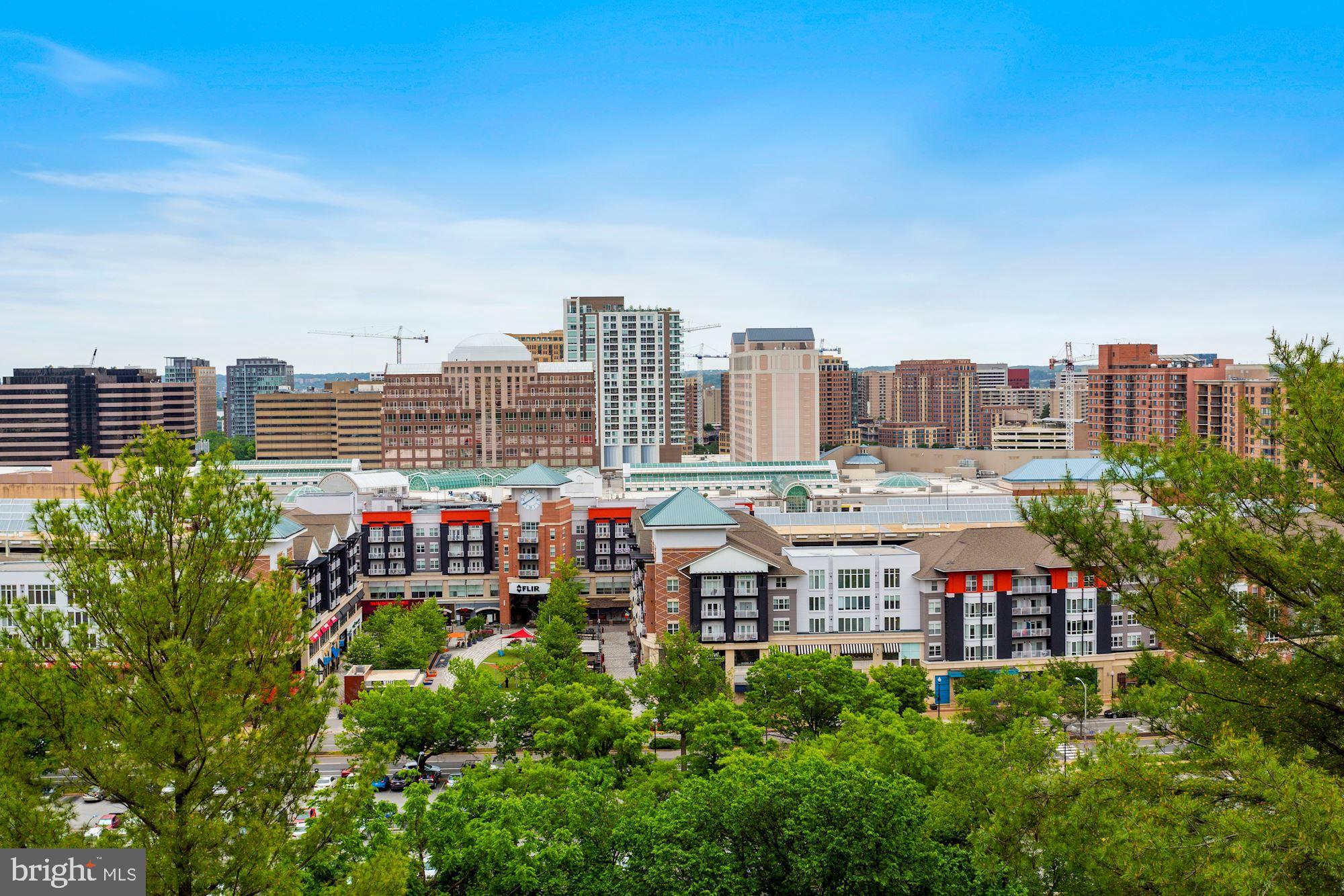 THE REPRESENTATIVE - Residential Lease