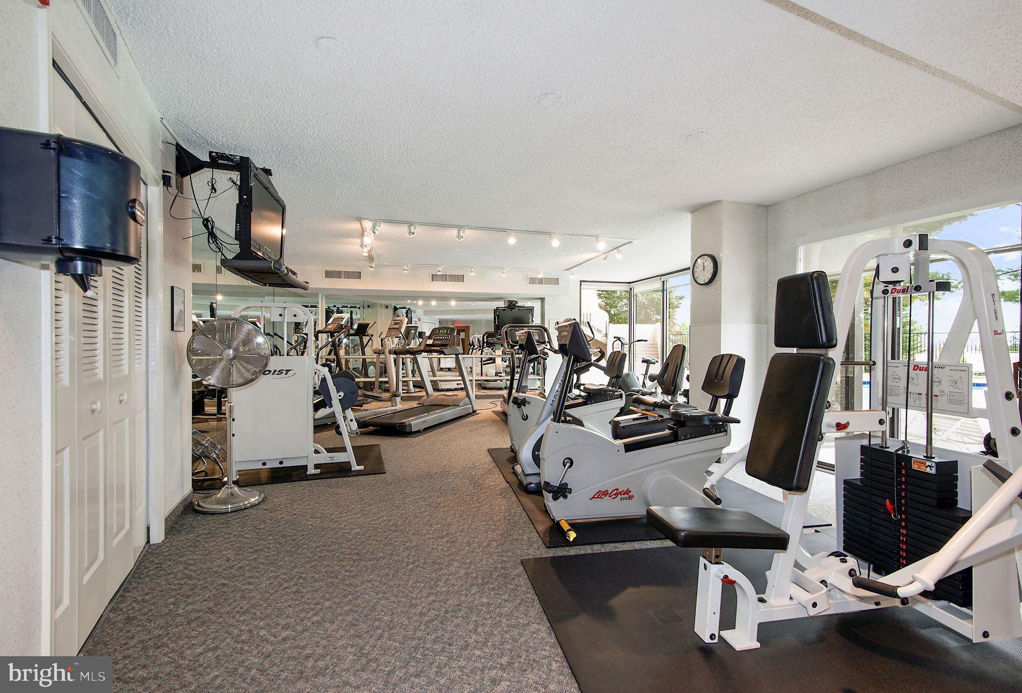 THE REPRESENTATIVE - Residential Lease