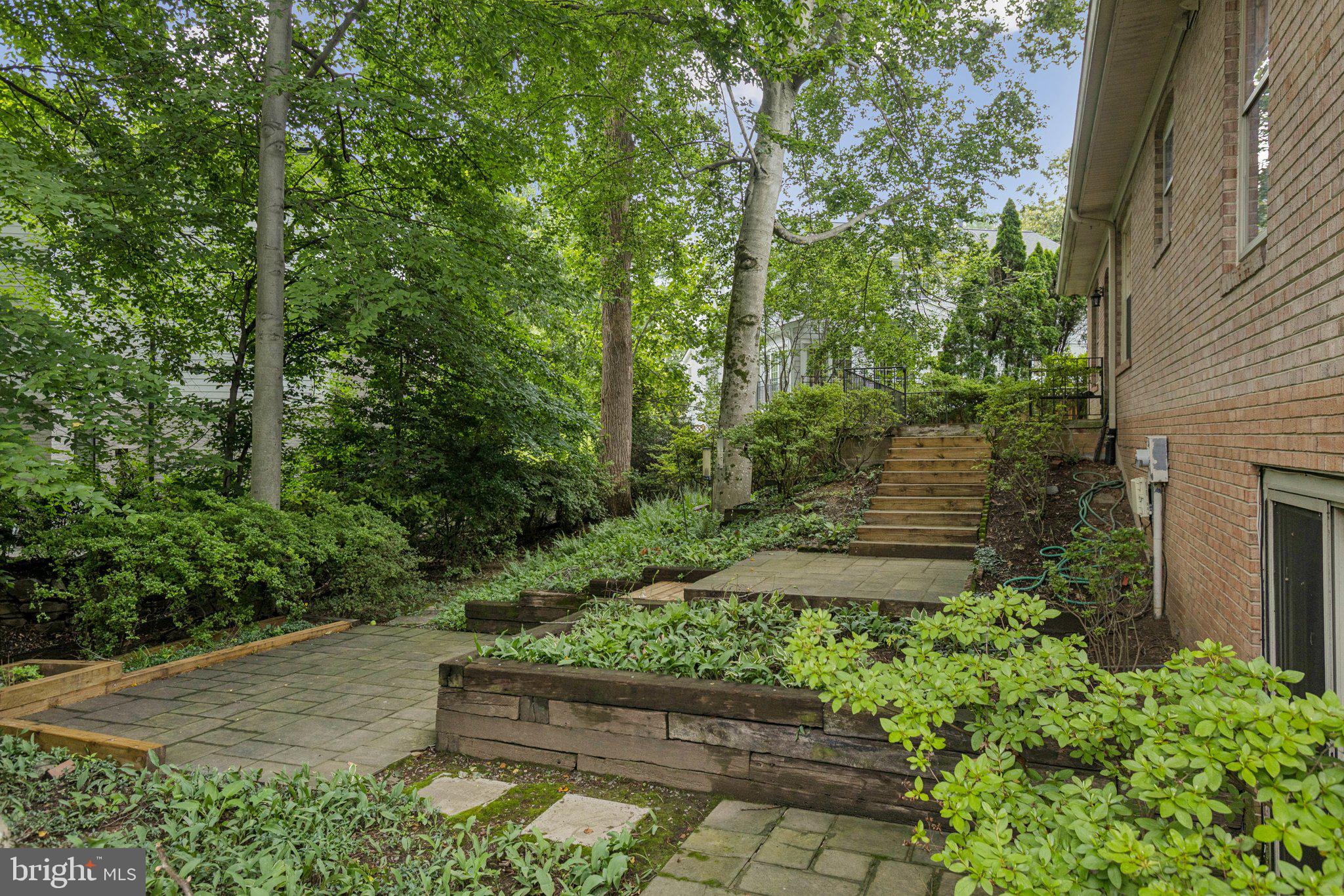 CHAIN BRIDGE FOREST - Residential Lease