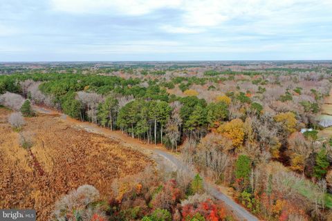 Parcel #169 GEORGETOWN ROAD BERLIN MD 21811