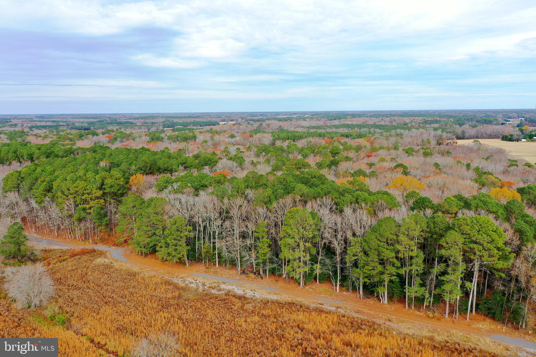 Parcel #169 GEORGETOWN ROAD