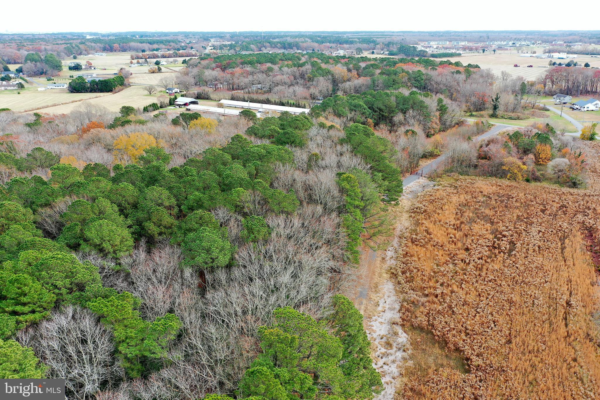 Parcel #169 GEORGETOWN ROAD