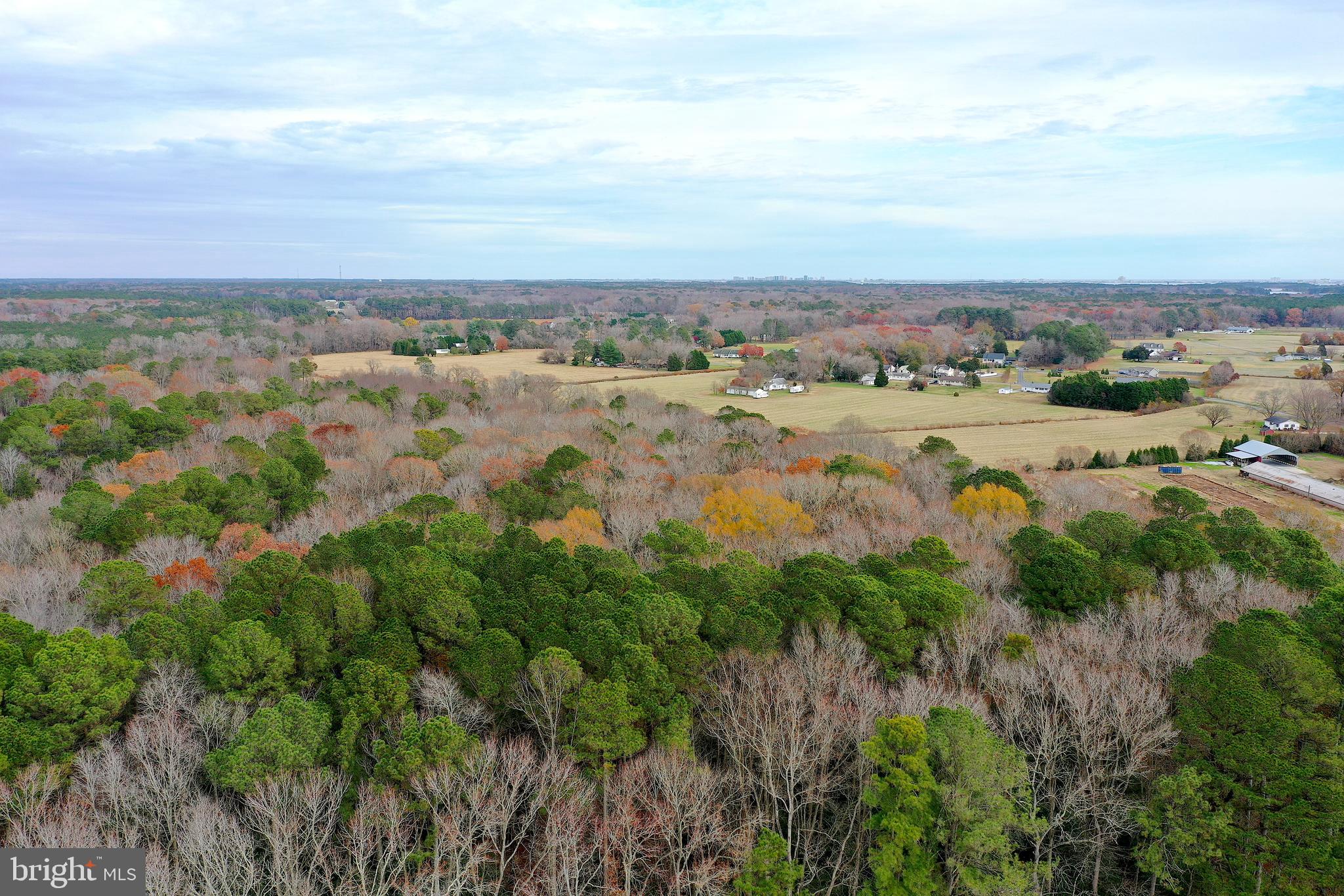 Parcel #169 GEORGETOWN ROAD