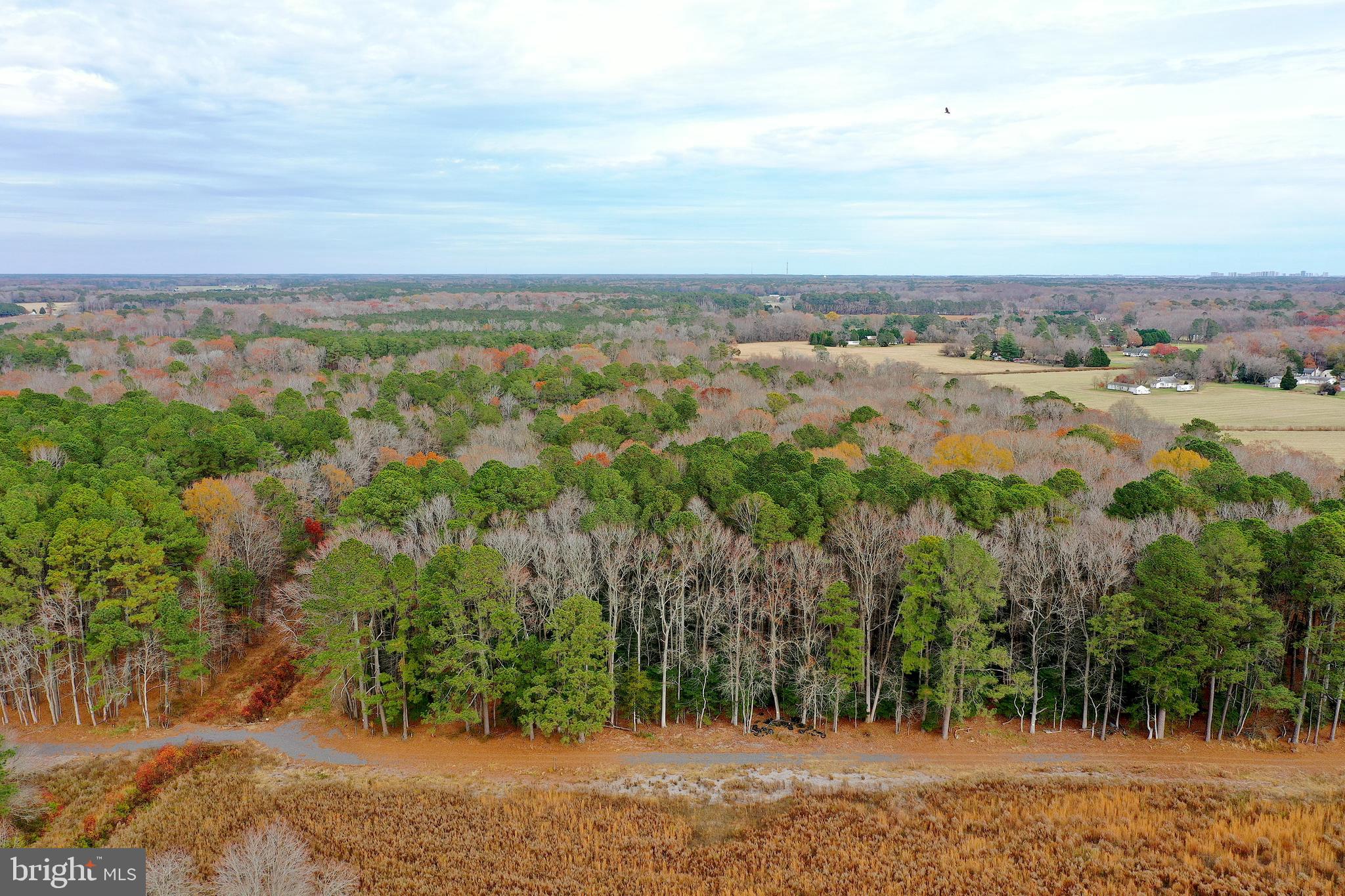 Parcel #169 GEORGETOWN ROAD