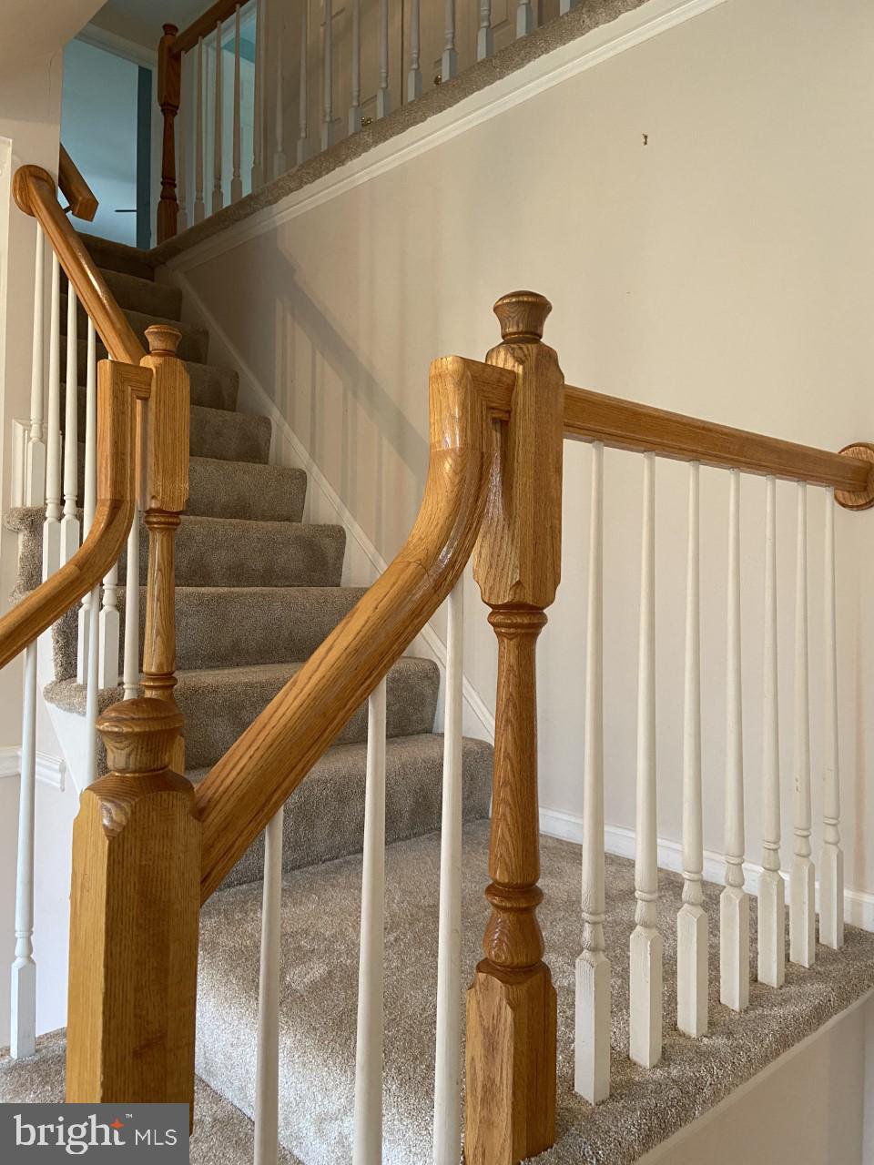 STEEPLE CHASE - Residential