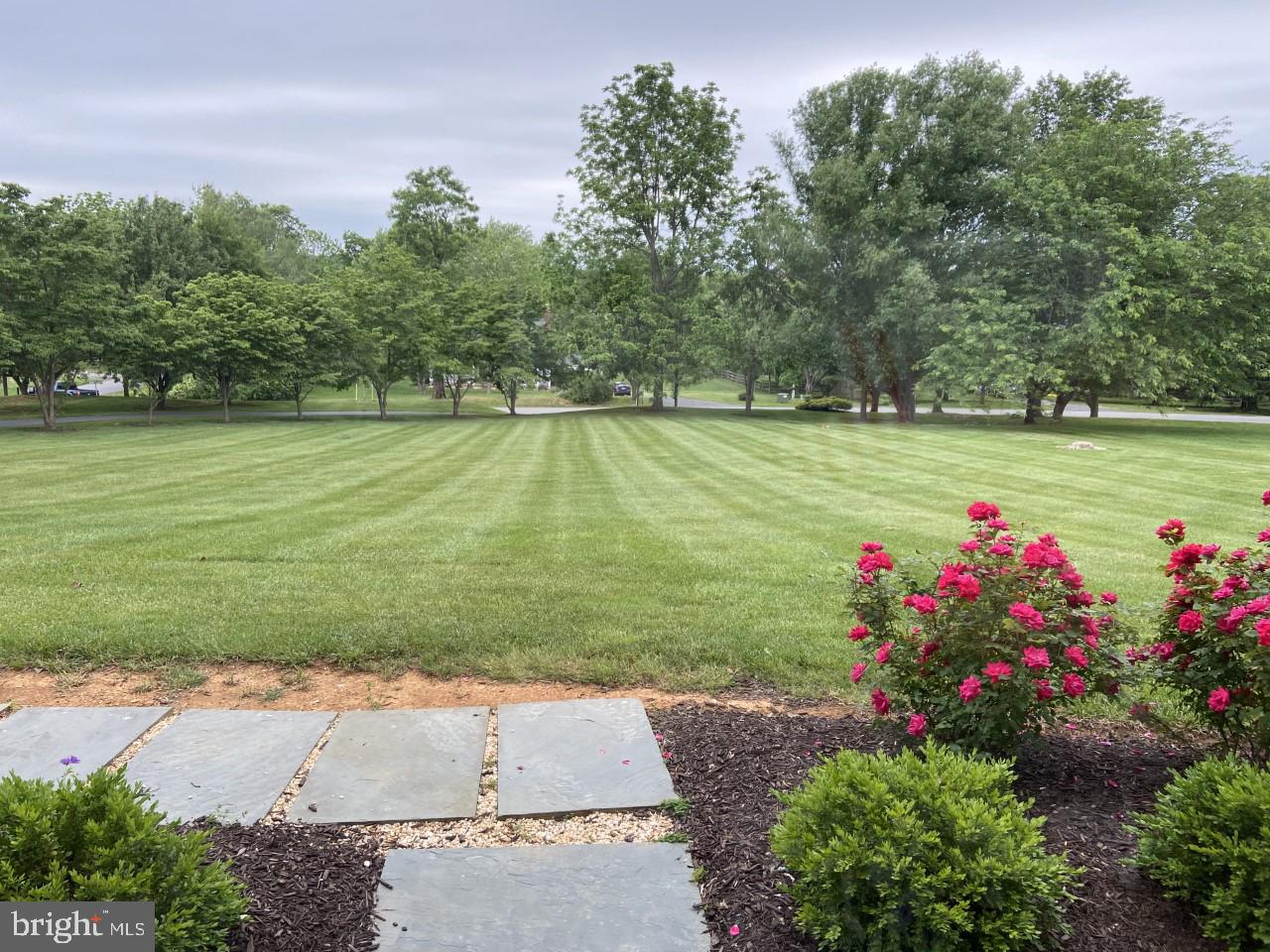 STEEPLE CHASE - Residential