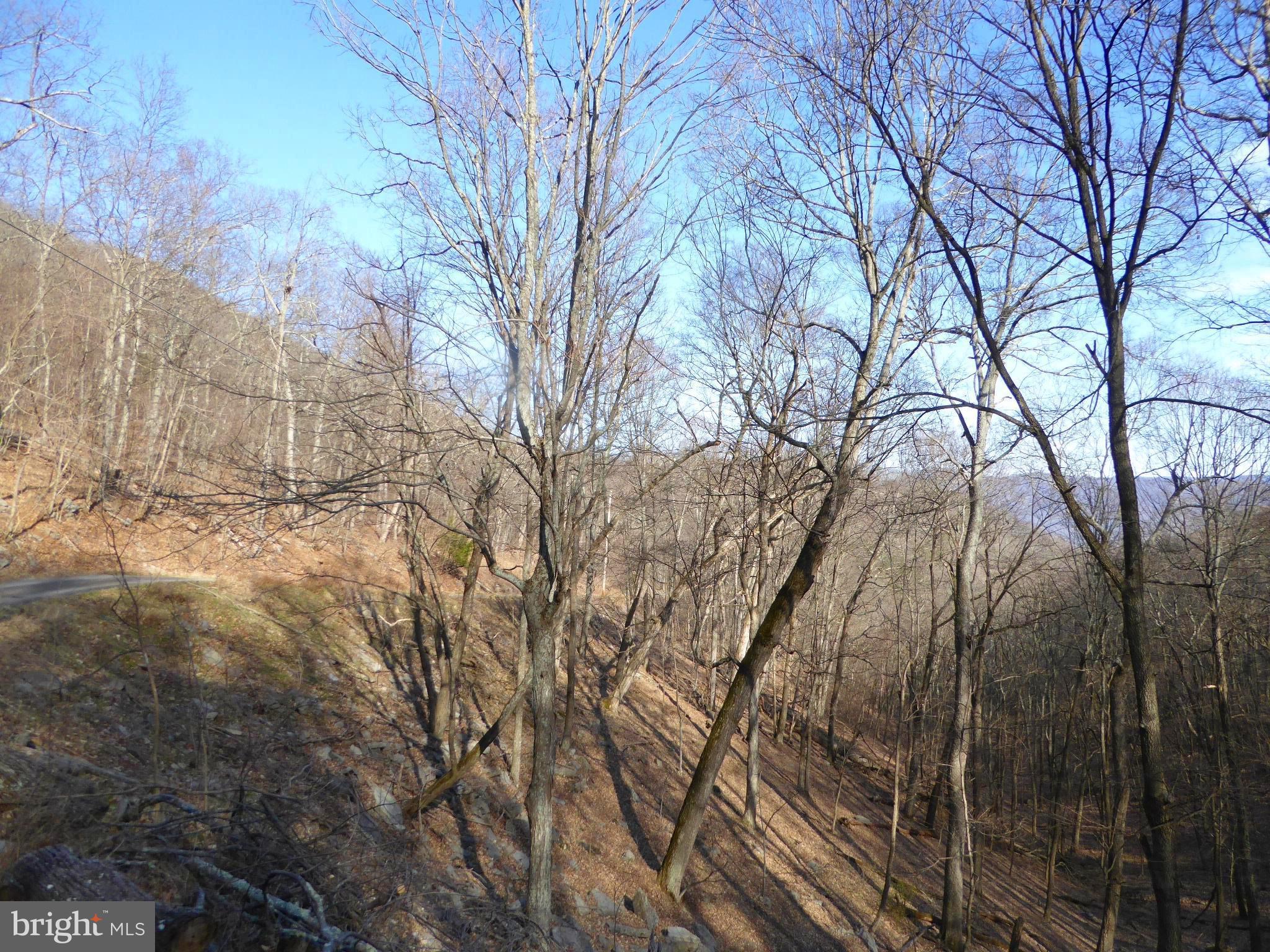 HIGHLAND SPRINGS - Land