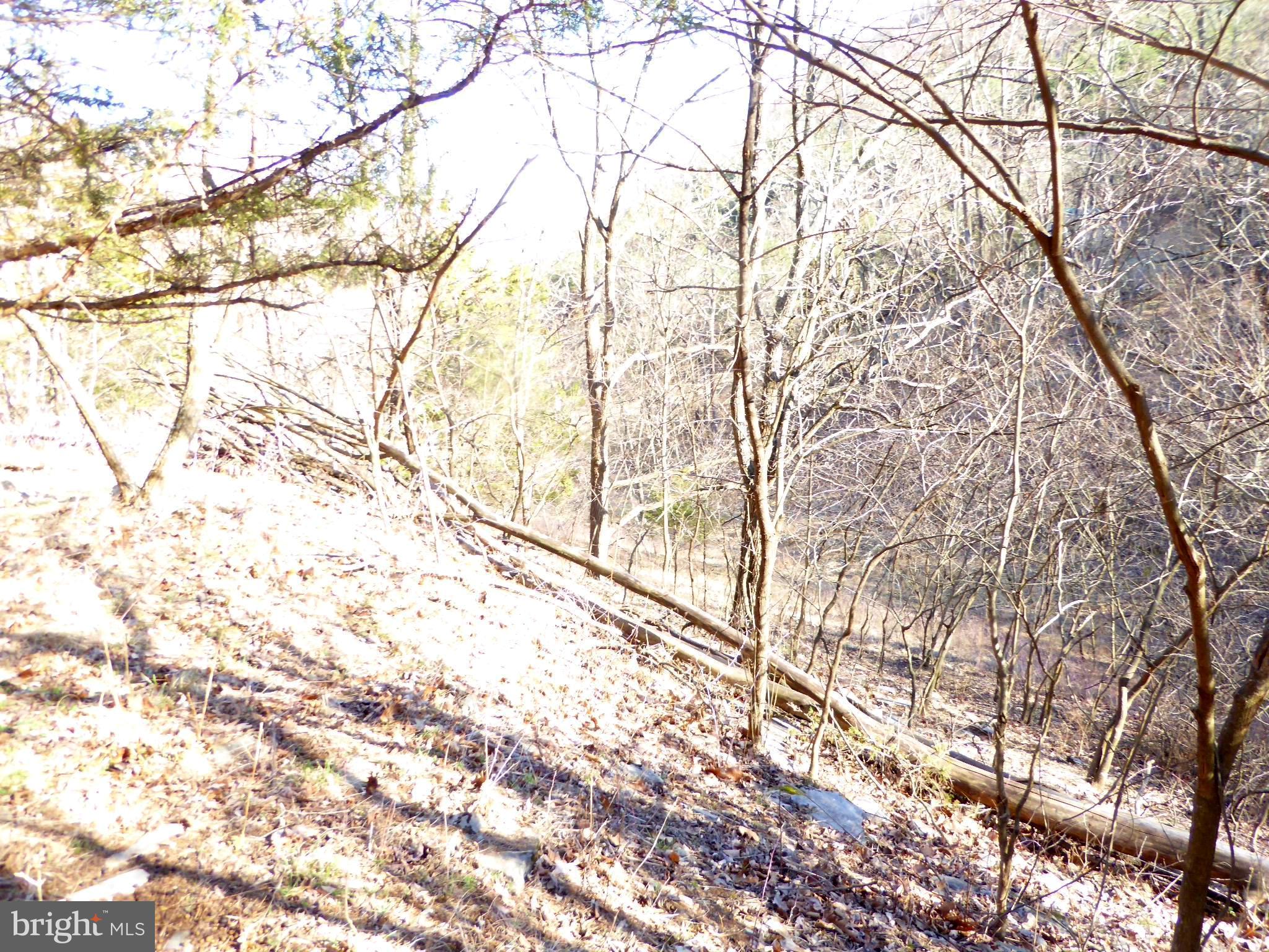 HIGHLAND SPRINGS - Land