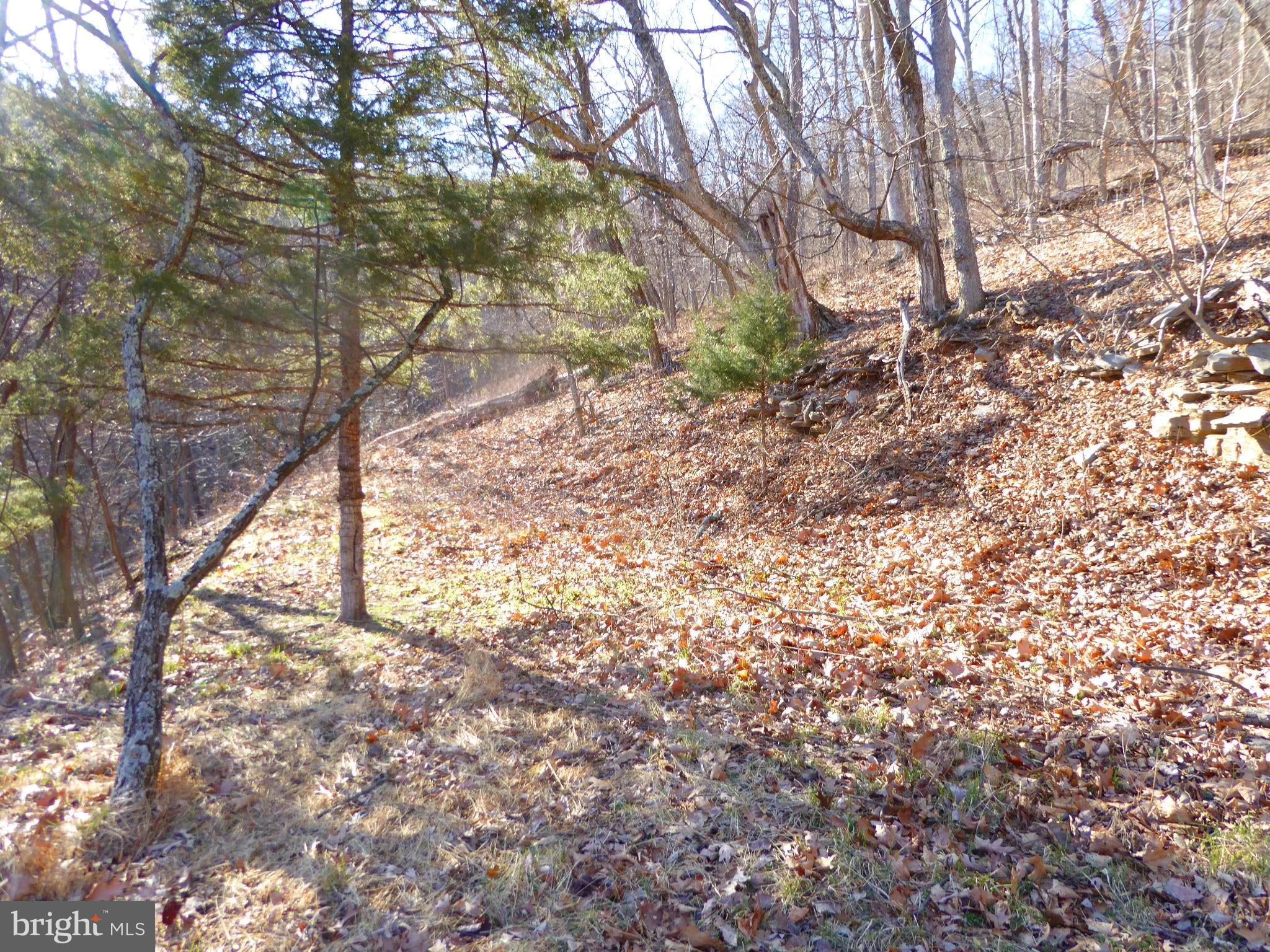 HIGHLAND SPRINGS - Land