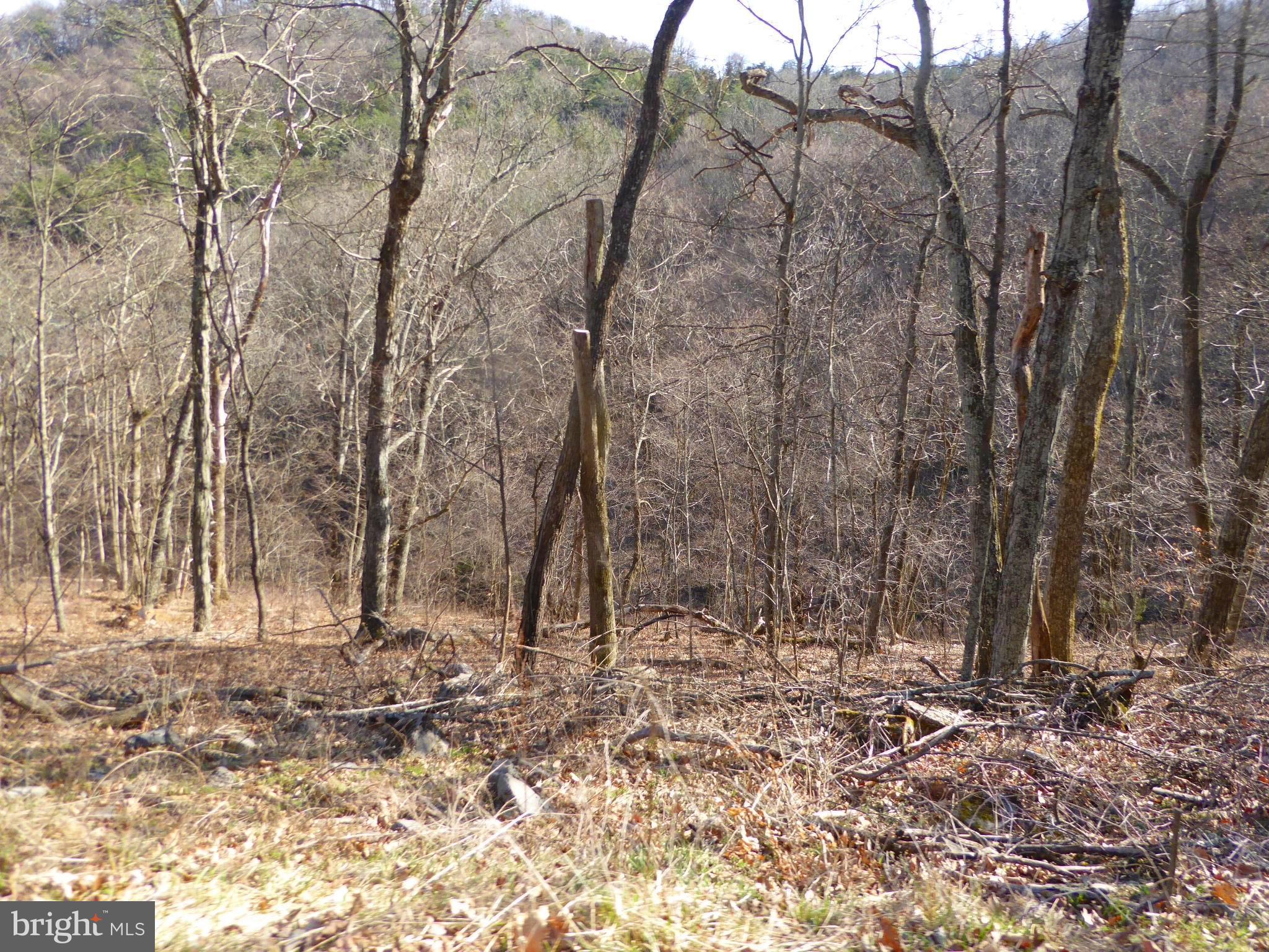 HIGHLAND SPRINGS - Land