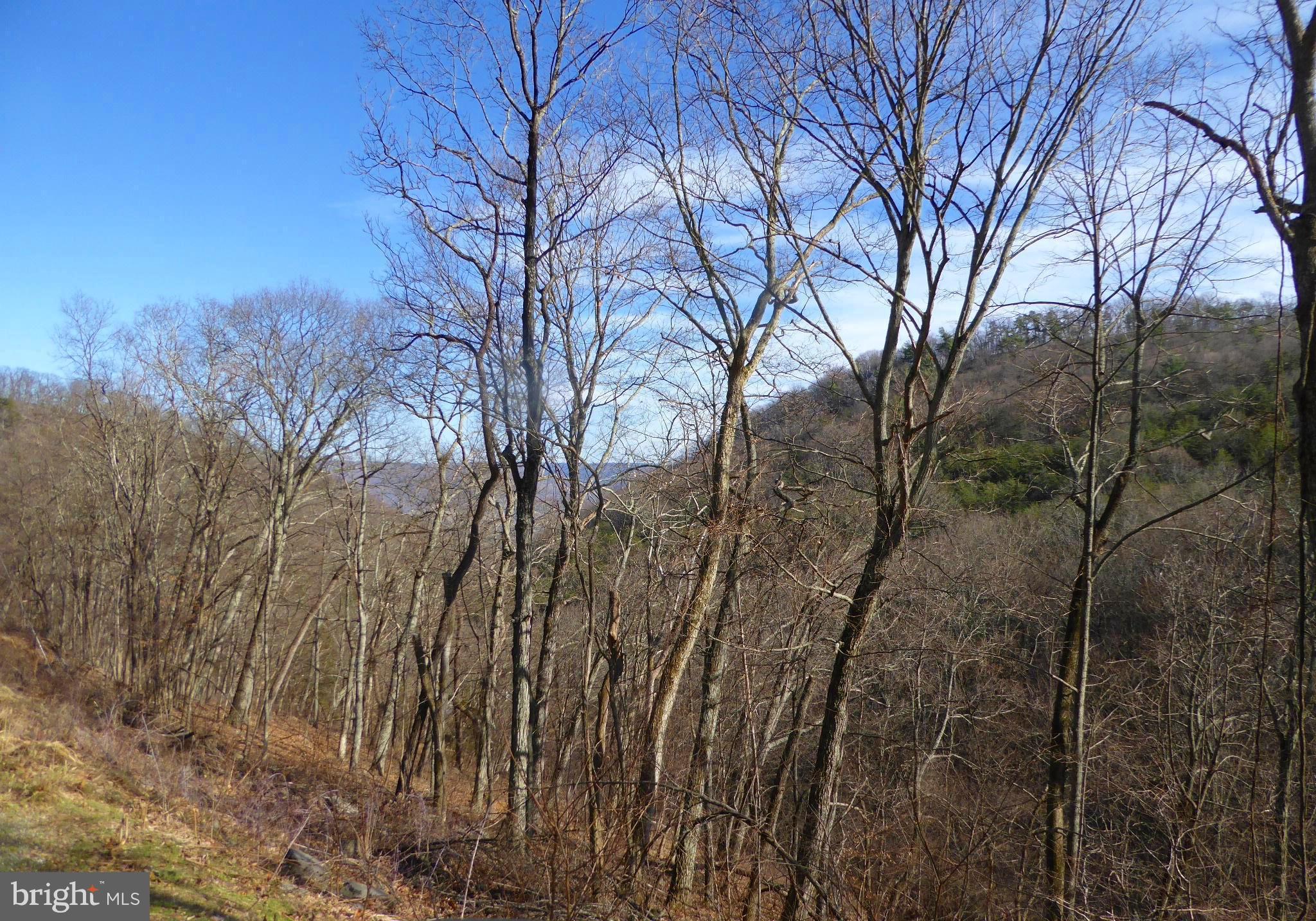 HIGHLAND SPRINGS - Land