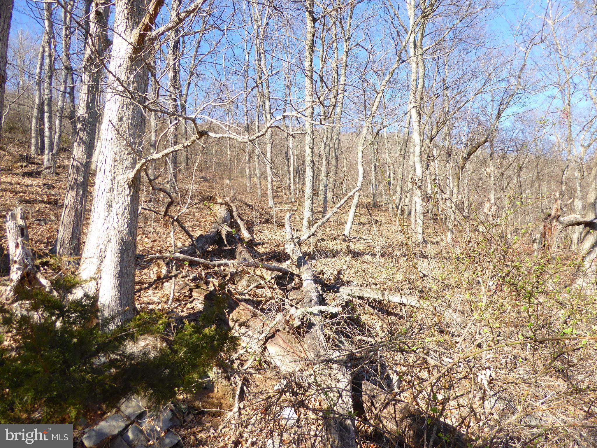 HIGHLAND SPRINGS - Land