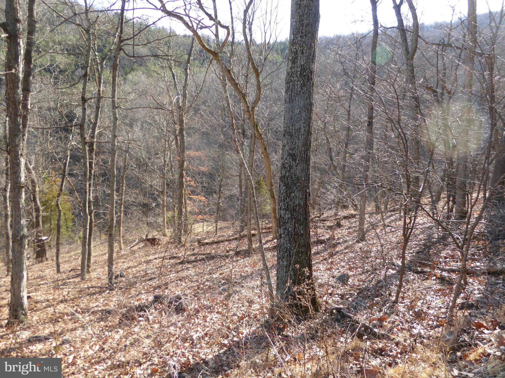 HIGHLAND SPRINGS - Land