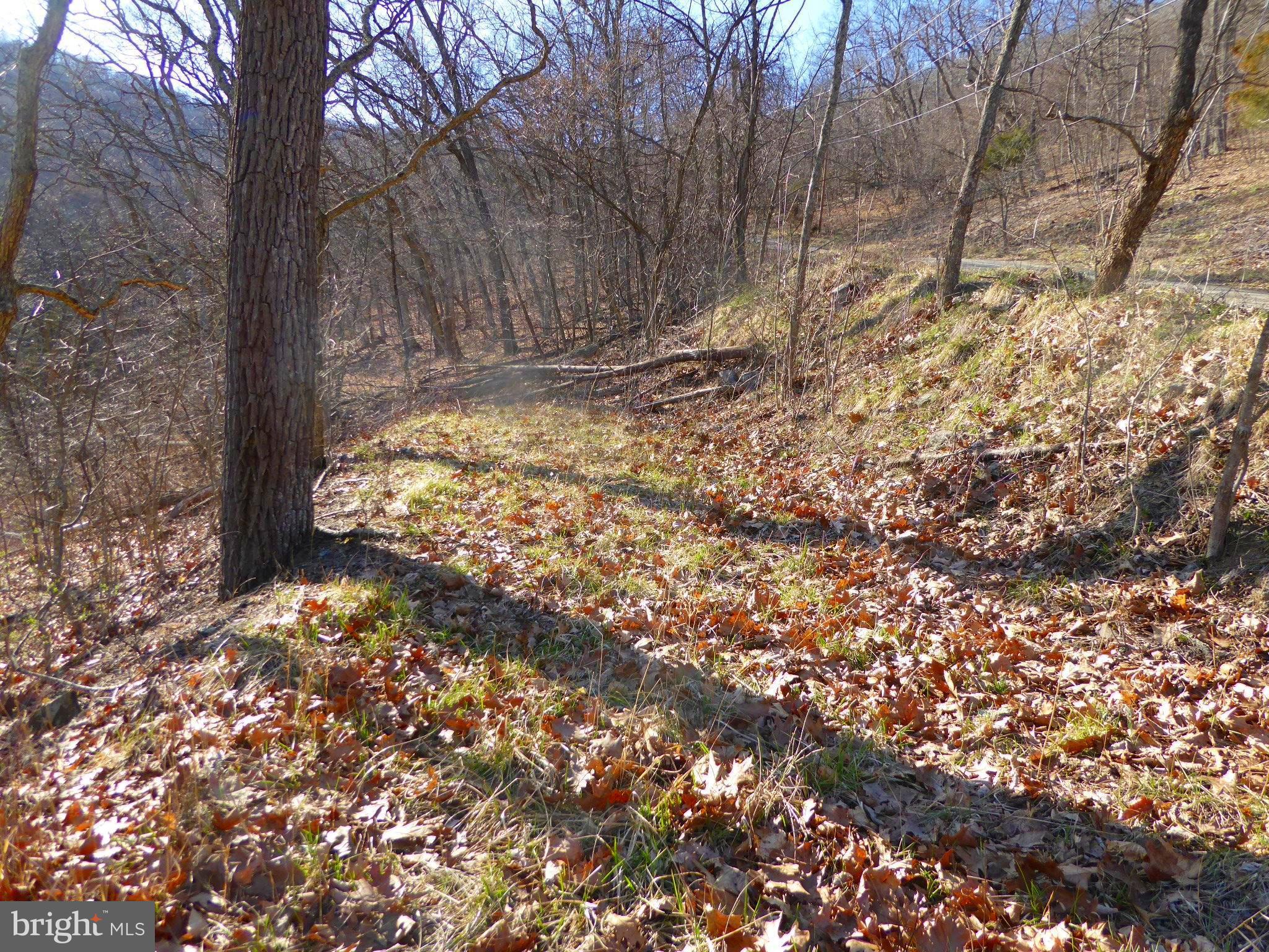 HIGHLAND SPRINGS - Land