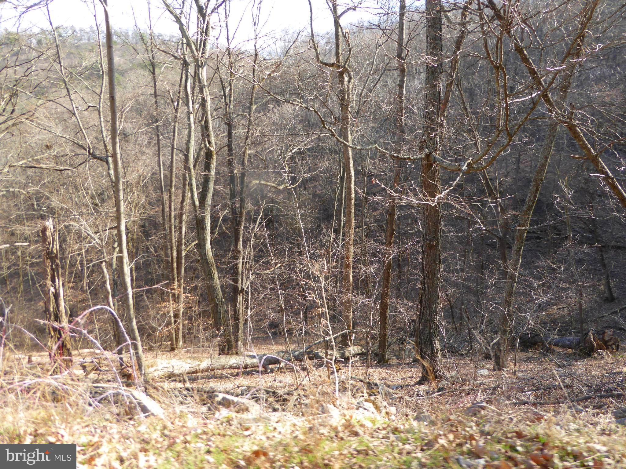 HIGHLAND SPRINGS - Land