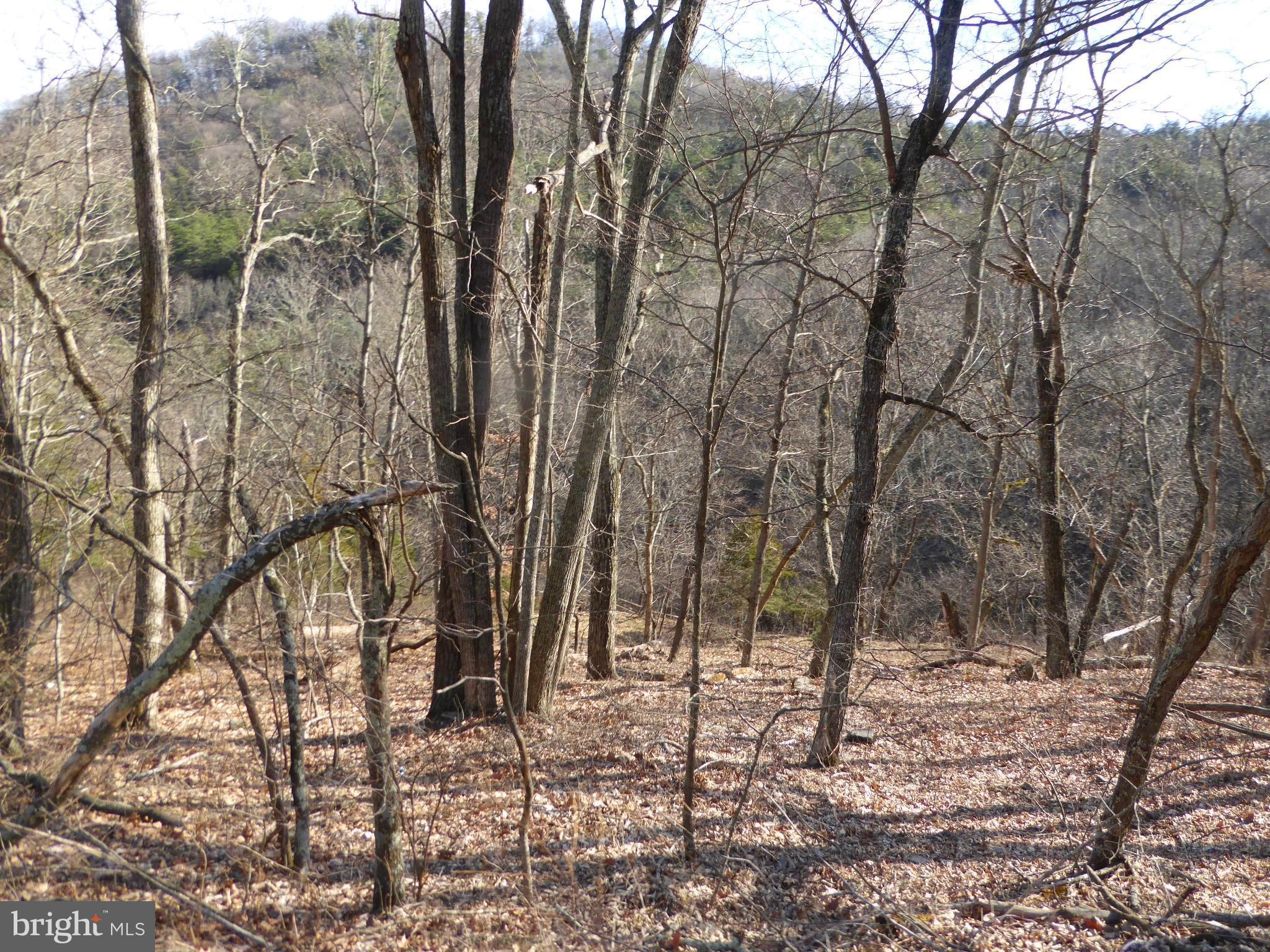 HIGHLAND SPRINGS - Land