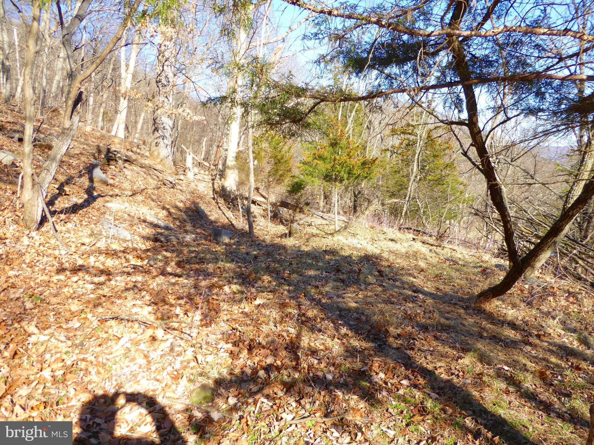 HIGHLAND SPRINGS - Land