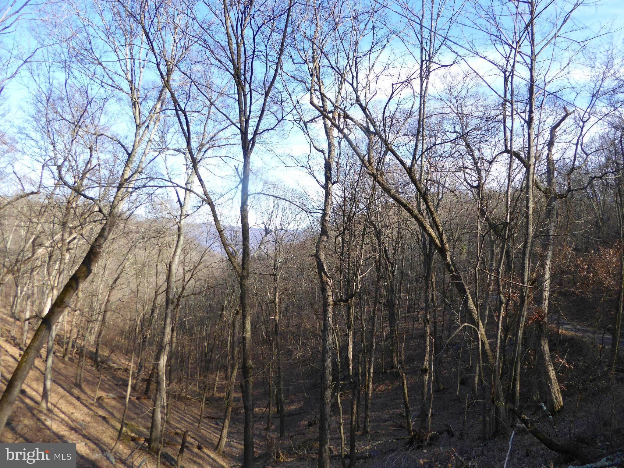 HIGHLAND SPRINGS - Land