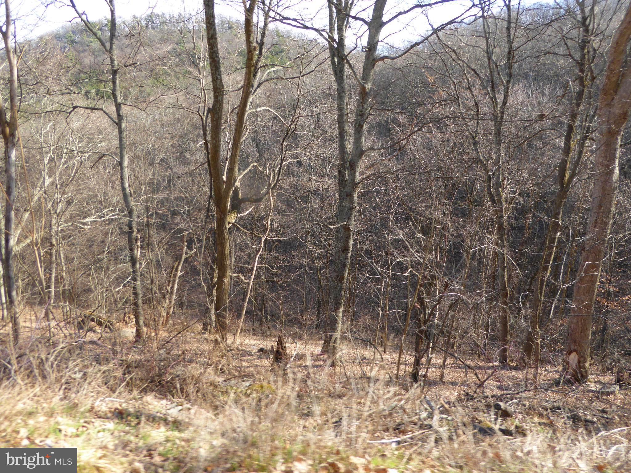 HIGHLAND SPRINGS - Land