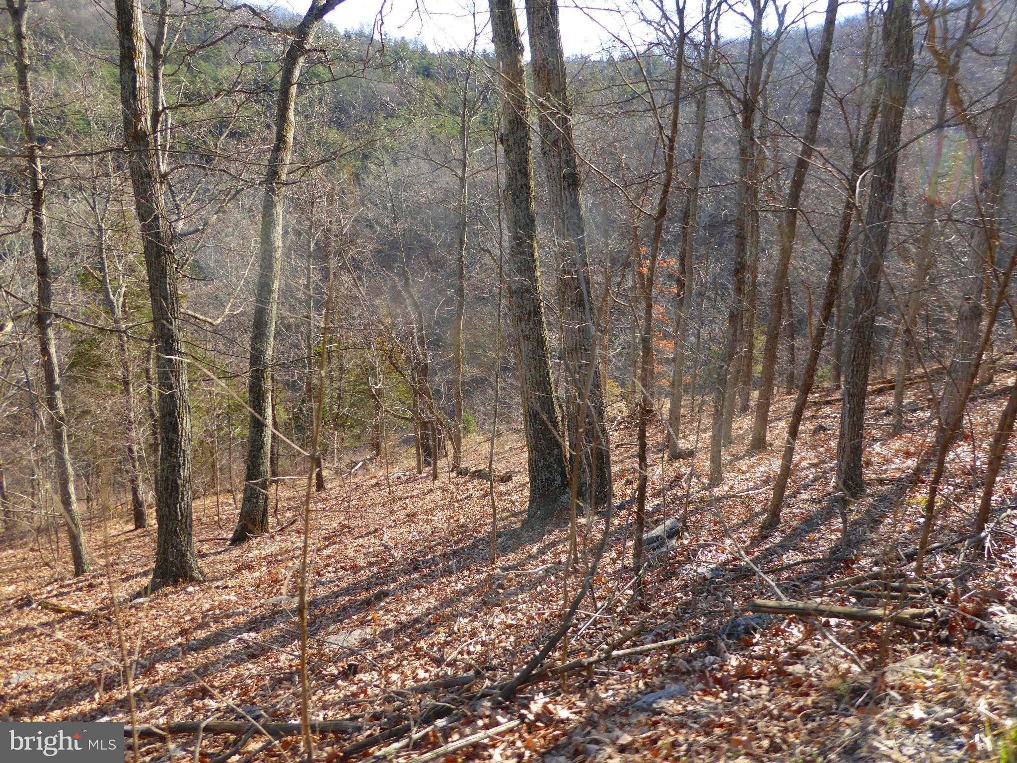 HIGHLAND SPRINGS - Land