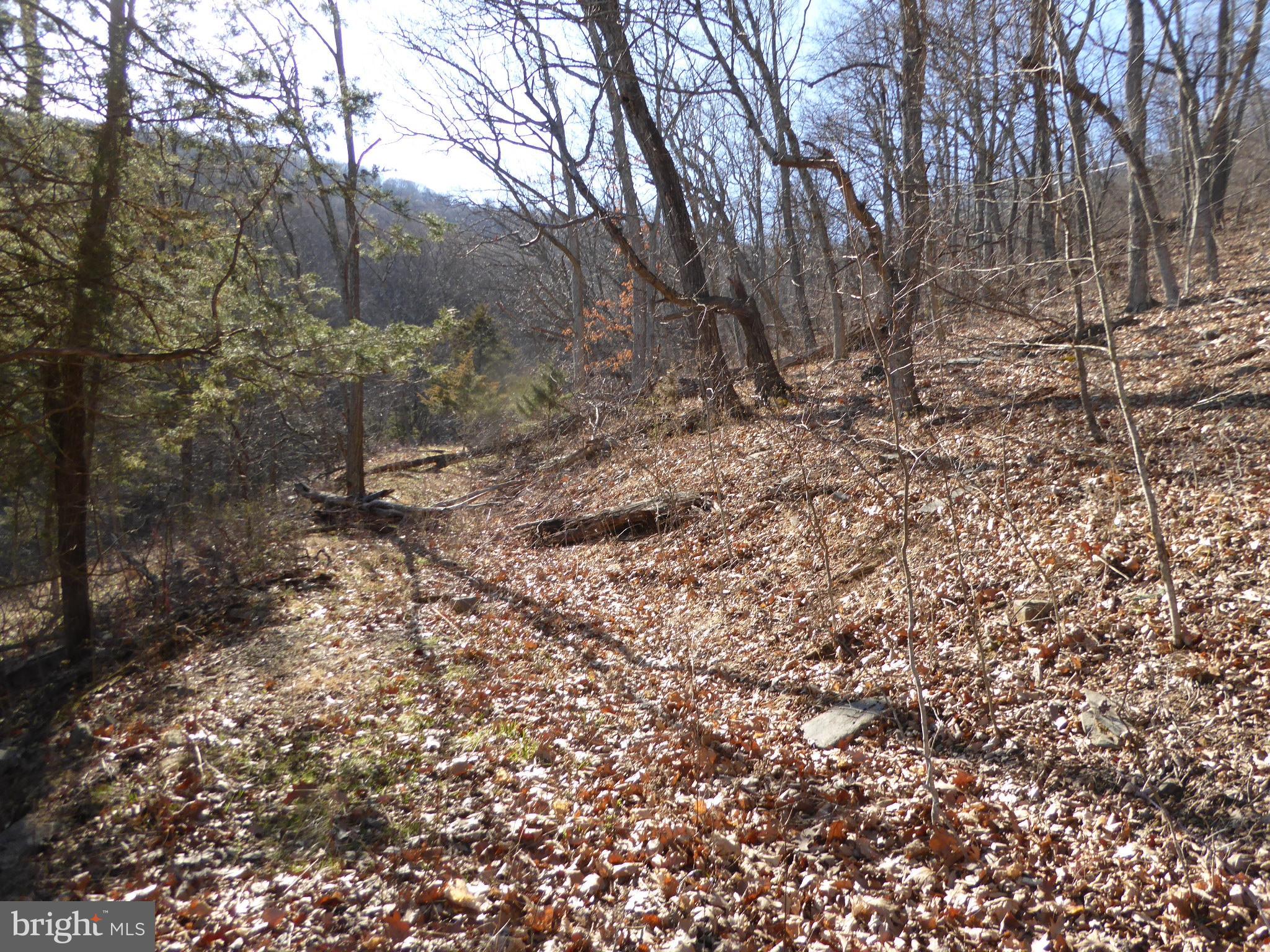 HIGHLAND SPRINGS - Land