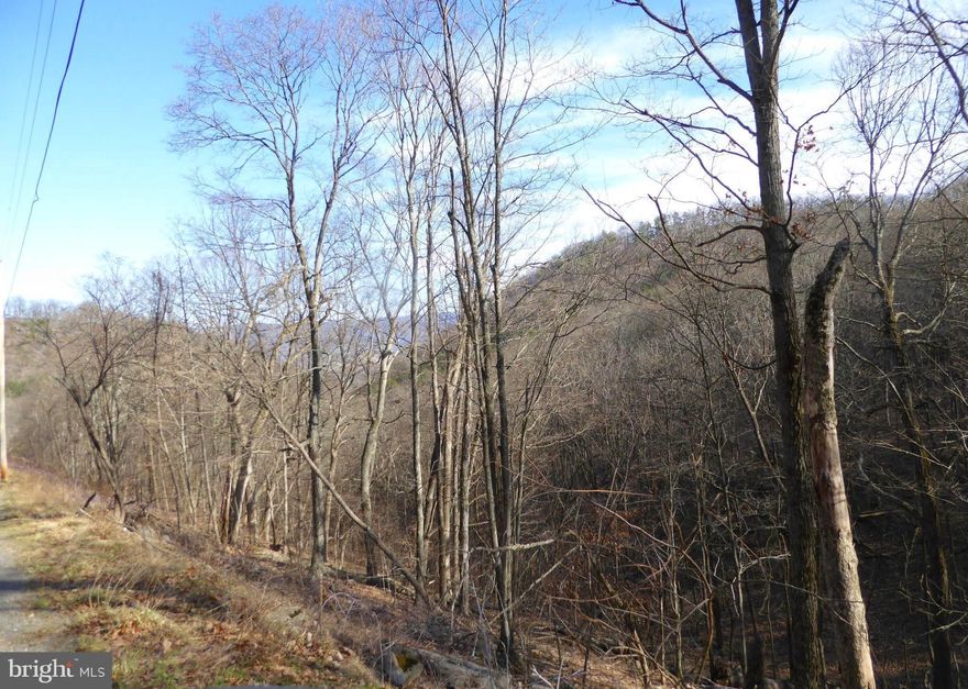 WELL SELLER IS READY TO PART WITH THIS 5.7 ACRE ROLLING , WOODED  MOUNTAINLAND.  IF YOU ARE LOOKING TO BE BACK IN THE WOODS AND PRIVATE THEN THIS IS IT.  THERE IS A SHORT WALK TO THE LEVEL AREA  FOR A CAMPER OR TENT.  PERFECT LAND FOR LOTS OF DEER, TURKEY , BEAR, FOXES AND BEAR AND COYOTE. YOU CAN HEAR THE SILENCE AND SEE THE STARS AND CONSTELLATIONS IN A VERY CLEAR SKY AT NIGHT. MOVE TO WEST VIRGINIA AND BECOME A MOUNTAINEER.

TO SEE THIS LOT FOLLOW DIRECTIONS EXACTLY.