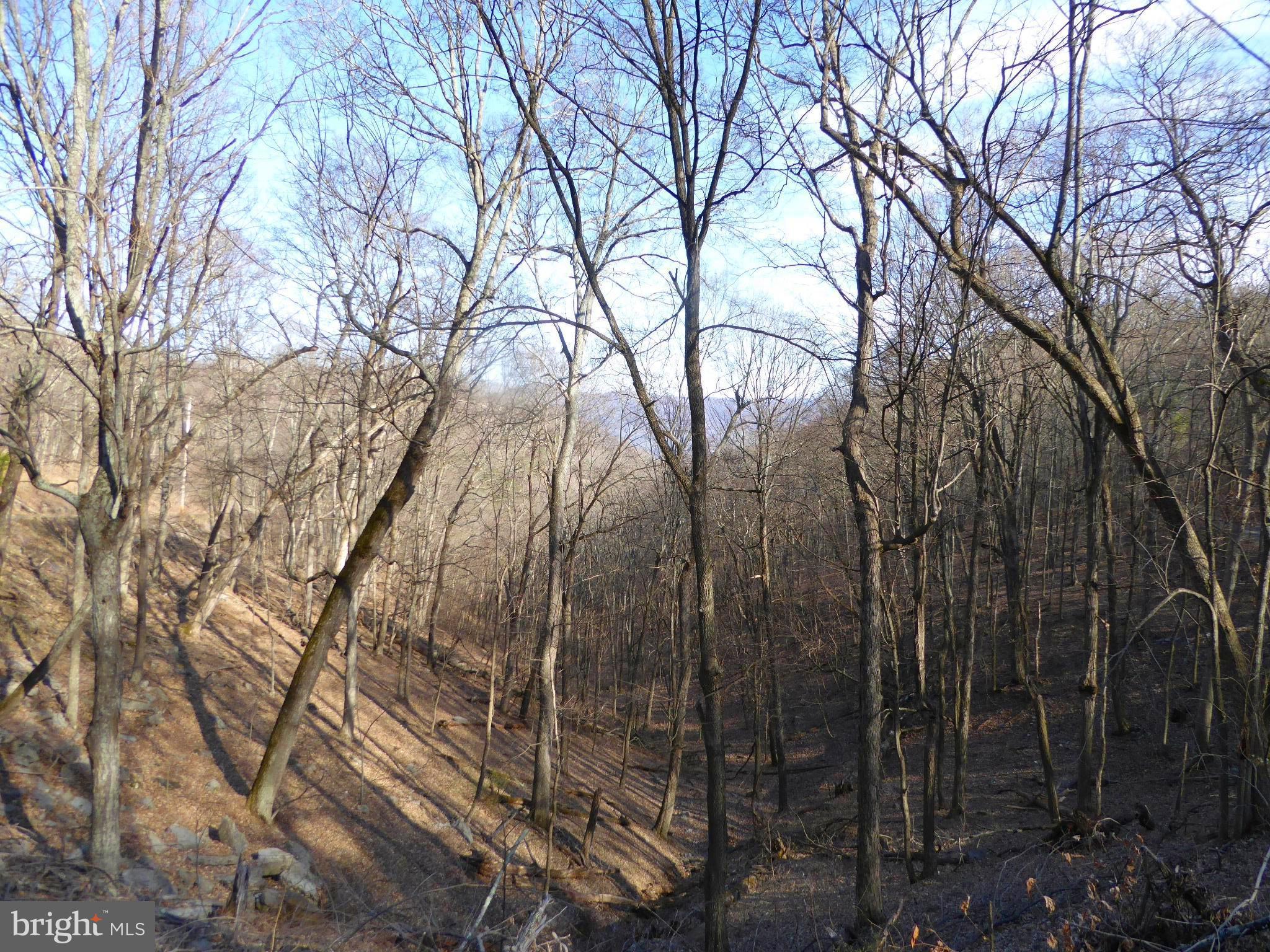 HIGHLAND SPRINGS - Land