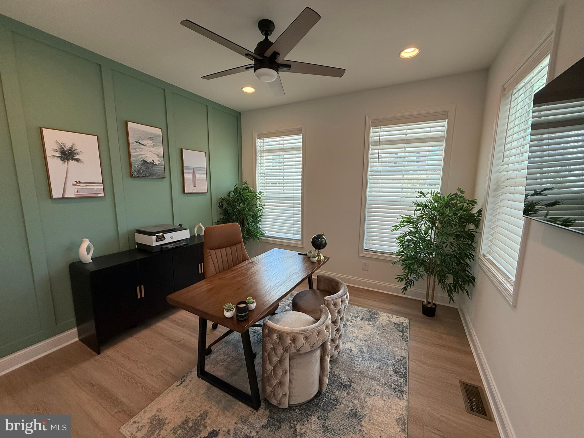 19269 AMERICAN HOLLY