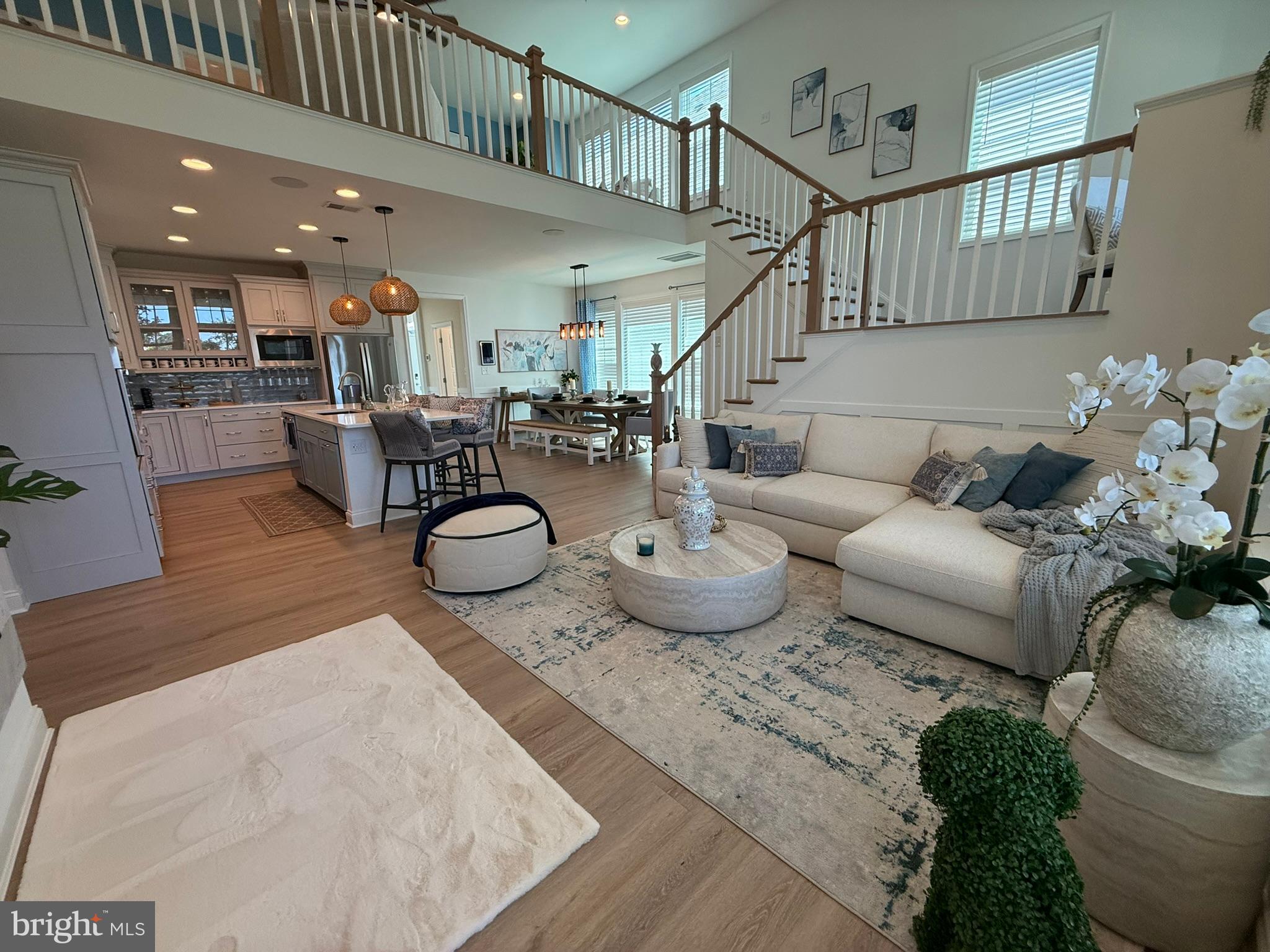 19269 AMERICAN HOLLY