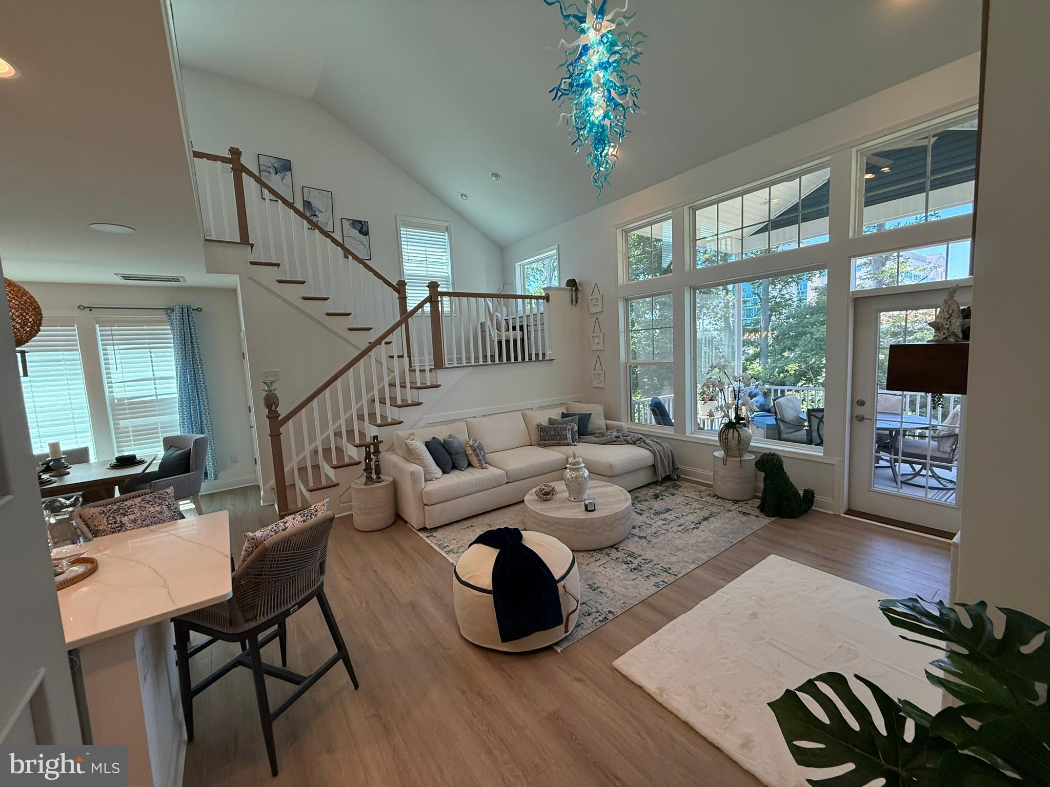 19269 AMERICAN HOLLY