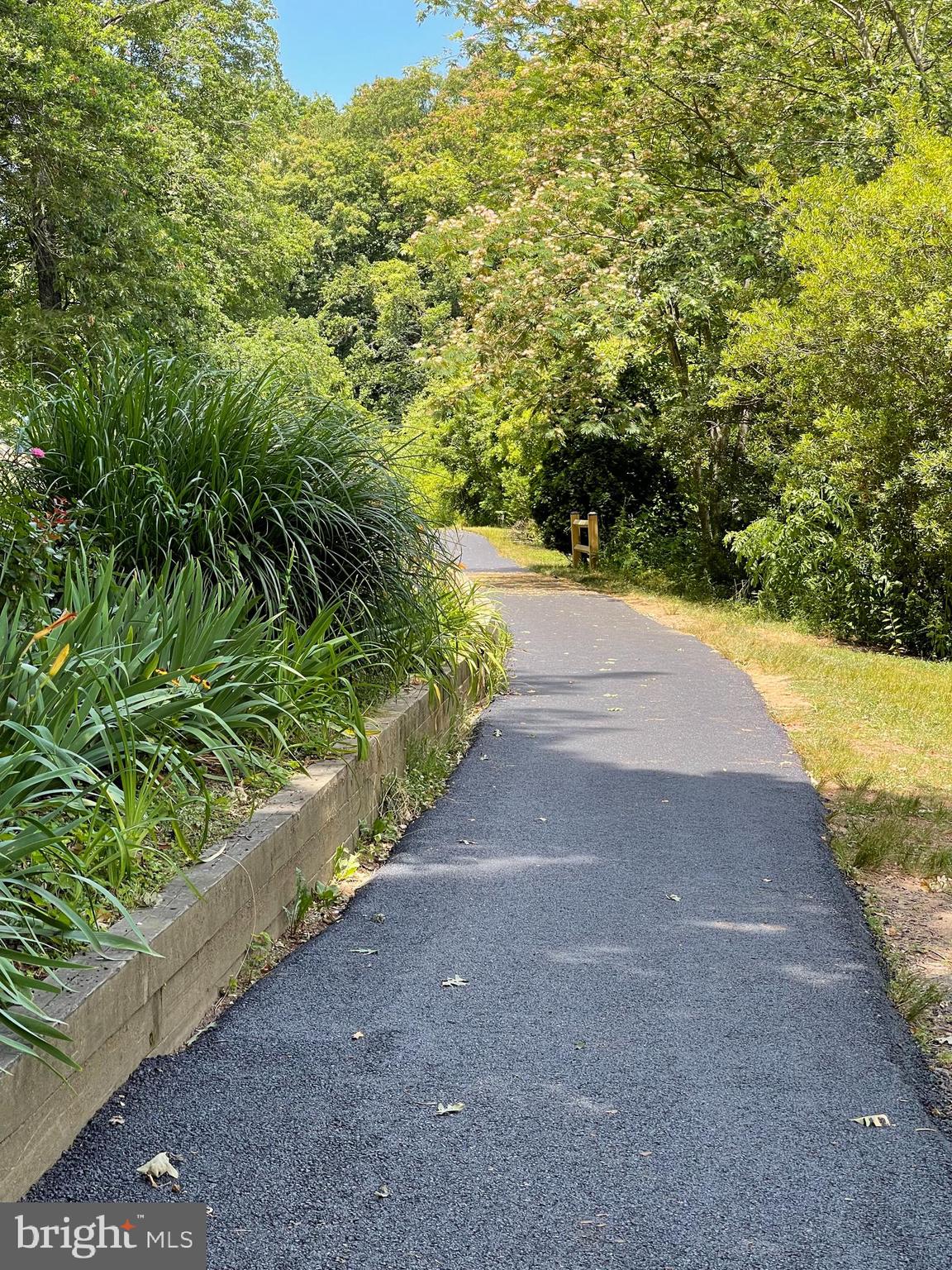 LAKE BRADDOCK - Residential