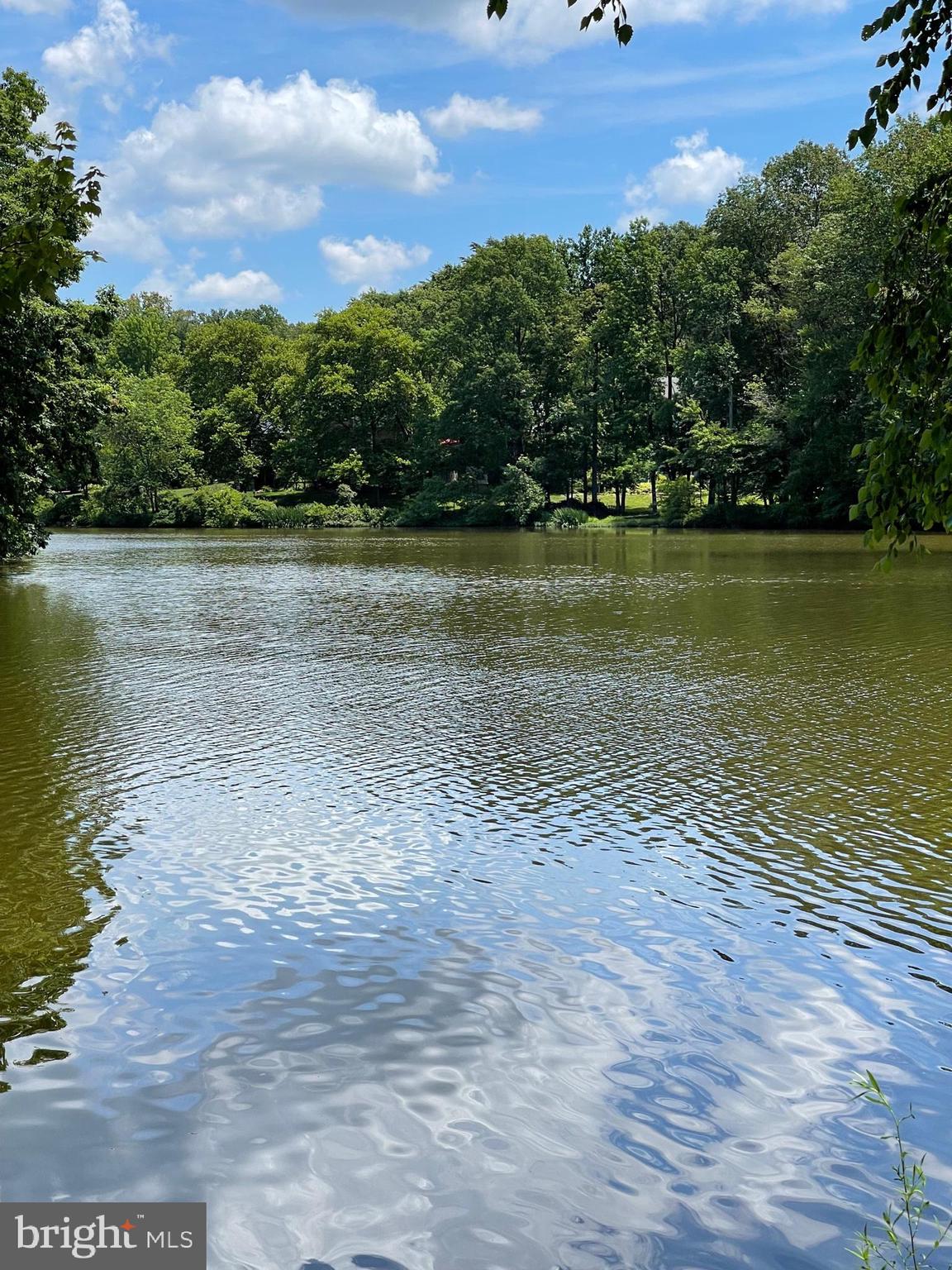 LAKE BRADDOCK - Residential