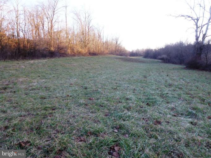 CROSSINGS ON THE POTOMAC - Land