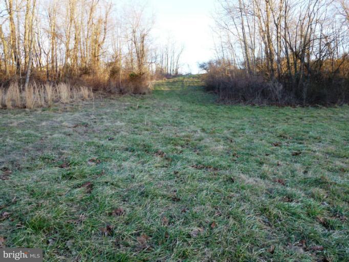 CROSSINGS ON THE POTOMAC - Land