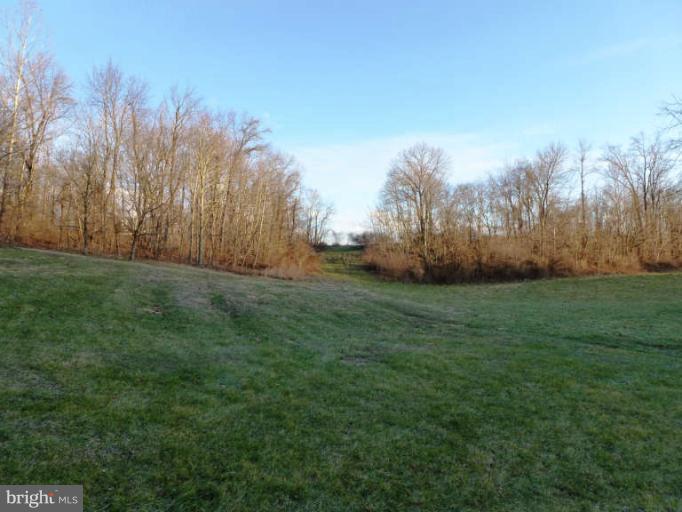 CROSSINGS ON THE POTOMAC - Land