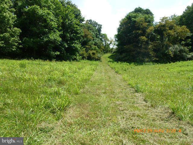 CROSSINGS ON THE POTOMAC - Land