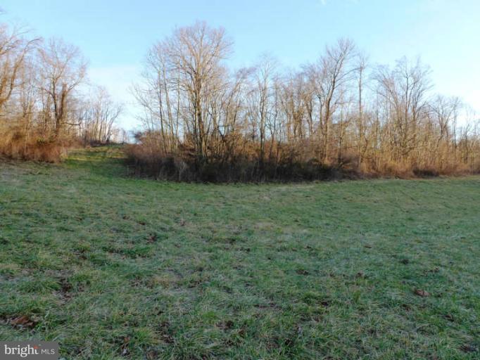 CROSSINGS ON THE POTOMAC - Land