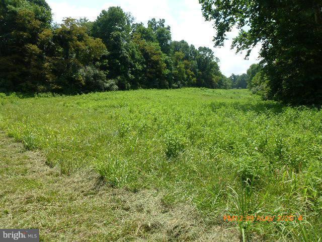 CROSSINGS ON THE POTOMAC - Land