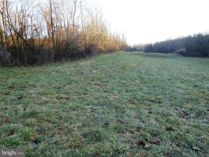 CROSSINGS ON THE POTOMAC - Land