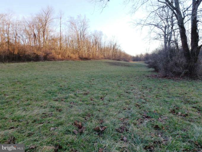 CROSSINGS ON THE POTOMAC - Land