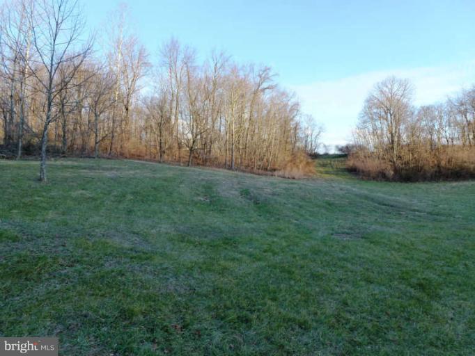 CROSSINGS ON THE POTOMAC - Land