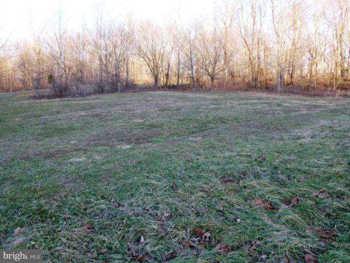 CROSSINGS ON THE POTOMAC - Land