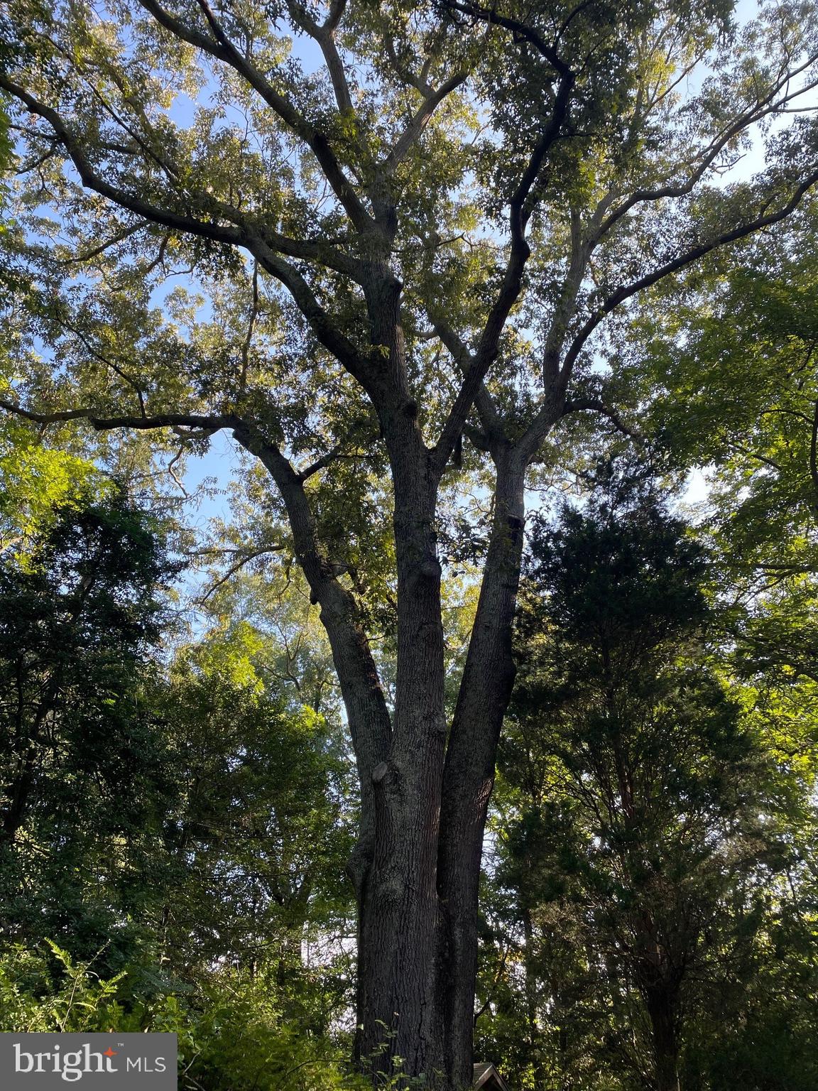 DAVIDSONVILLE - Residential